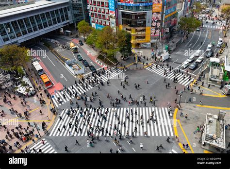 バスタ新宿 写真：都市の喧騒と静寂の交差点