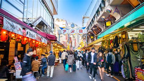 上野駅 駐車場 安い そして、なぜ猫は駐車場を好むのか？