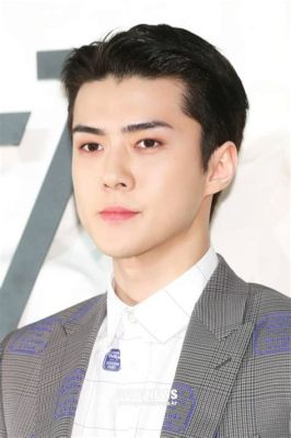 Samsung Music Festival:  K-Pop Superstar Sehun Makes a Splash at Seoul's Biggest Event!